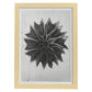 Lámina Planta blanco y negro 47. Pósters con ilustraciones de flores y plantas en tonos grises.-Artwork-Nacnic-A3-Marco Madera clara-Nacnic Estudio SL