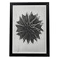 Lámina Planta blanco y negro 47. Pósters con ilustraciones de flores y plantas en tonos grises.-Artwork-Nacnic-A3-Marco Negro-Nacnic Estudio SL