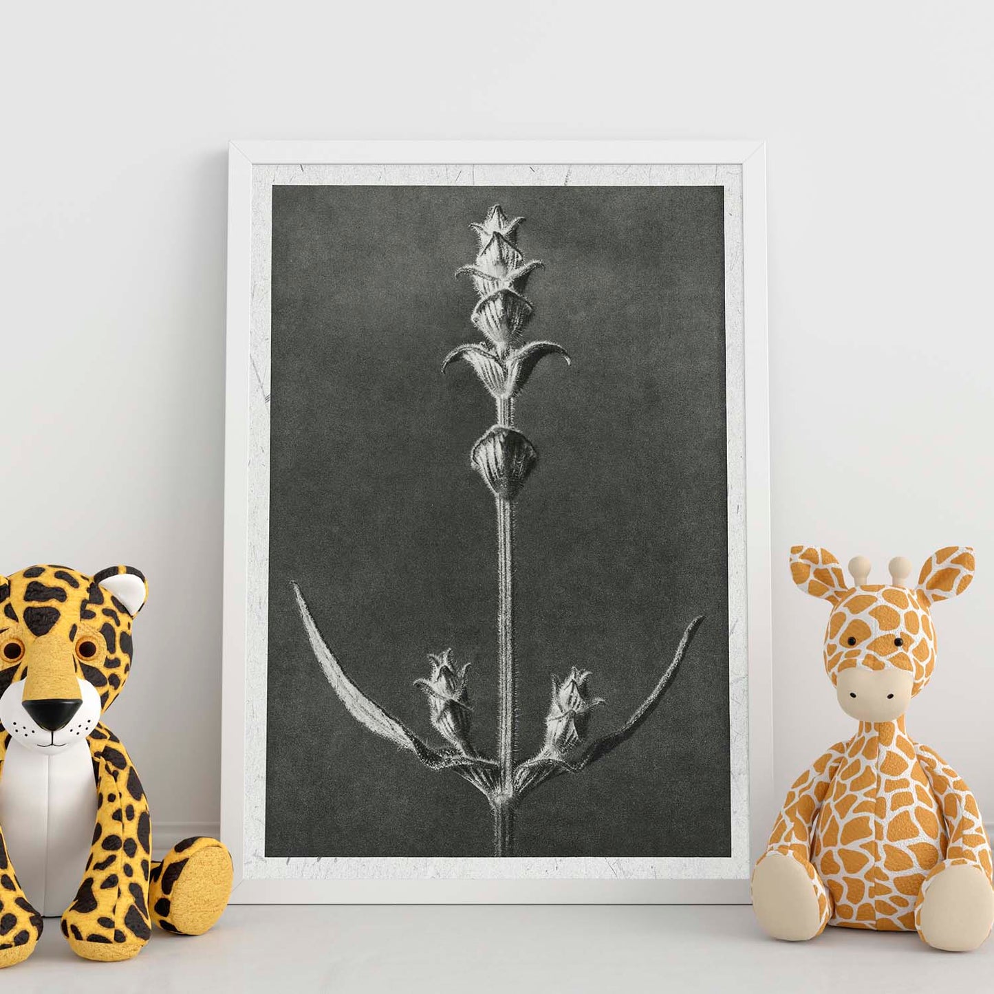 Lámina Planta blanco y negro 49. Pósters con ilustraciones de flores y plantas en tonos grises.-Artwork-Nacnic-Nacnic Estudio SL