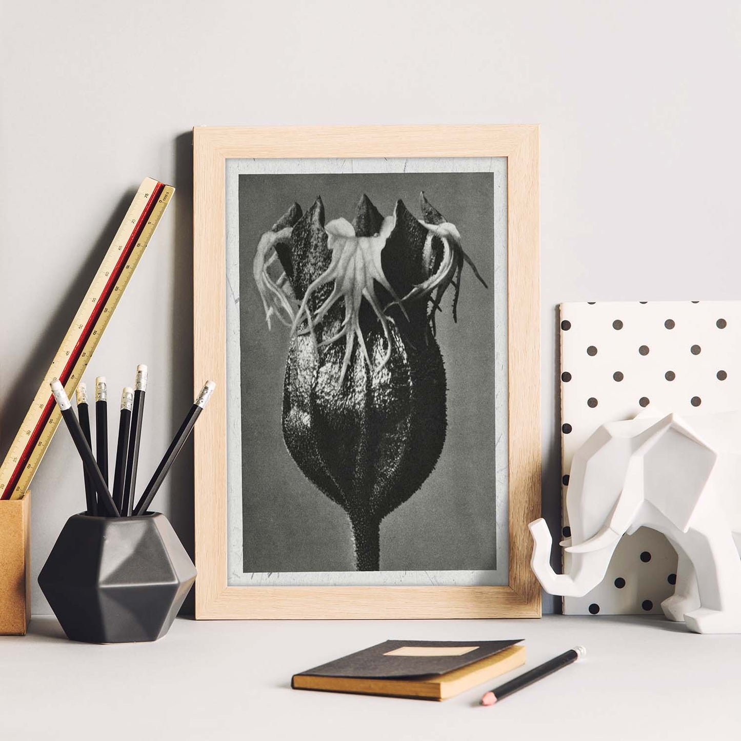 Lámina Planta blanco y negro 53. Pósters con ilustraciones de flores y plantas en tonos grises.-Artwork-Nacnic-Nacnic Estudio SL