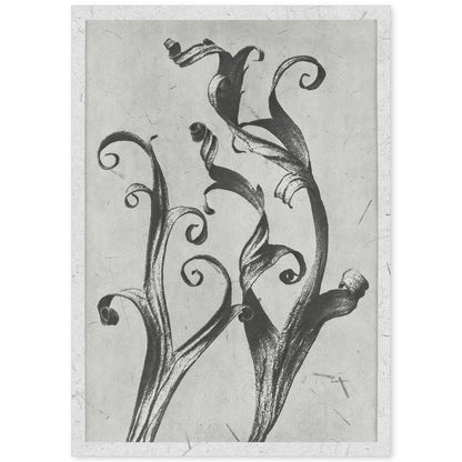 Lámina Planta blanco y negro 56. Pósters con ilustraciones de flores y plantas en tonos grises.-Artwork-Nacnic-A4-Sin marco-Nacnic Estudio SL
