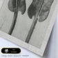 Lámina Planta blanco y negro 59. Pósters con ilustraciones de flores y plantas en tonos grises.-Artwork-Nacnic-Nacnic Estudio SL