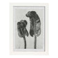 Lámina Planta blanco y negro 59. Pósters con ilustraciones de flores y plantas en tonos grises.-Artwork-Nacnic-A4-Marco Blanco-Nacnic Estudio SL