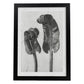 Lámina Planta blanco y negro 59. Pósters con ilustraciones de flores y plantas en tonos grises.-Artwork-Nacnic-A4-Marco Negro-Nacnic Estudio SL