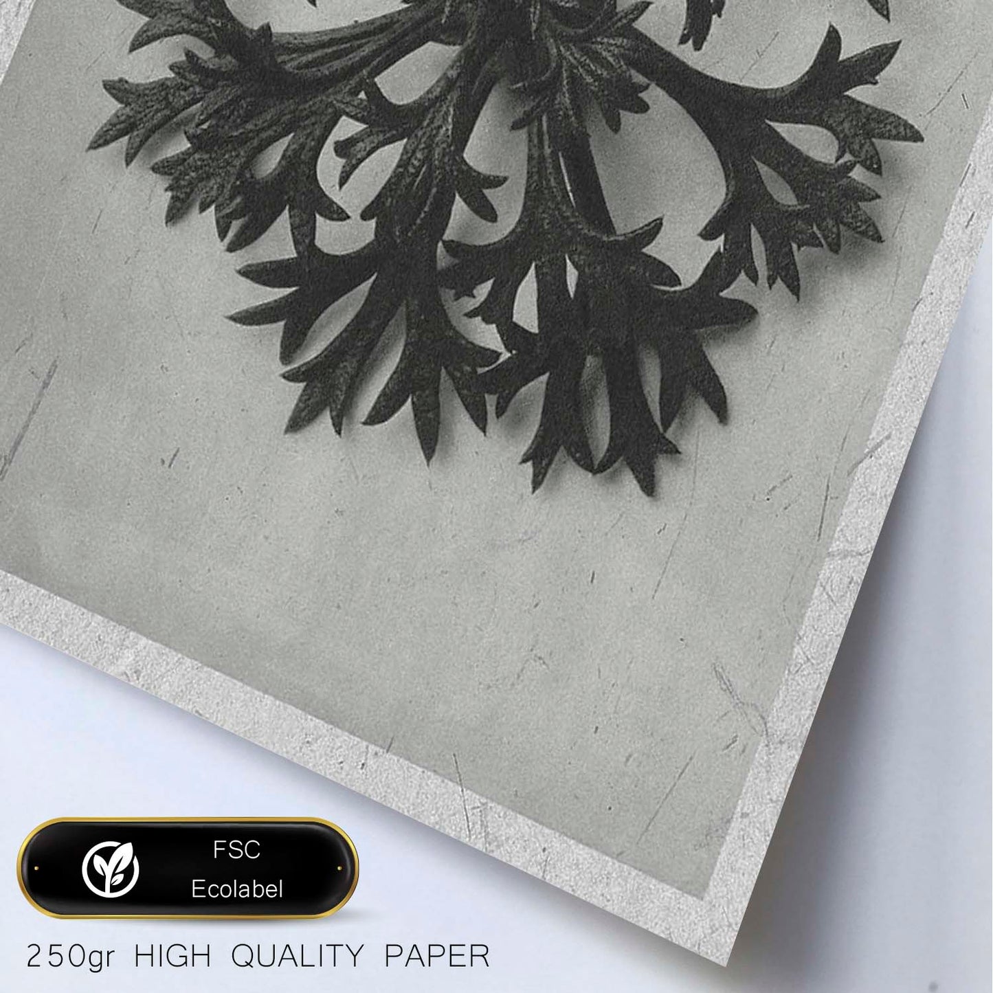 Lámina Planta blanco y negro 60. Pósters con ilustraciones de flores y plantas en tonos grises.-Artwork-Nacnic-Nacnic Estudio SL