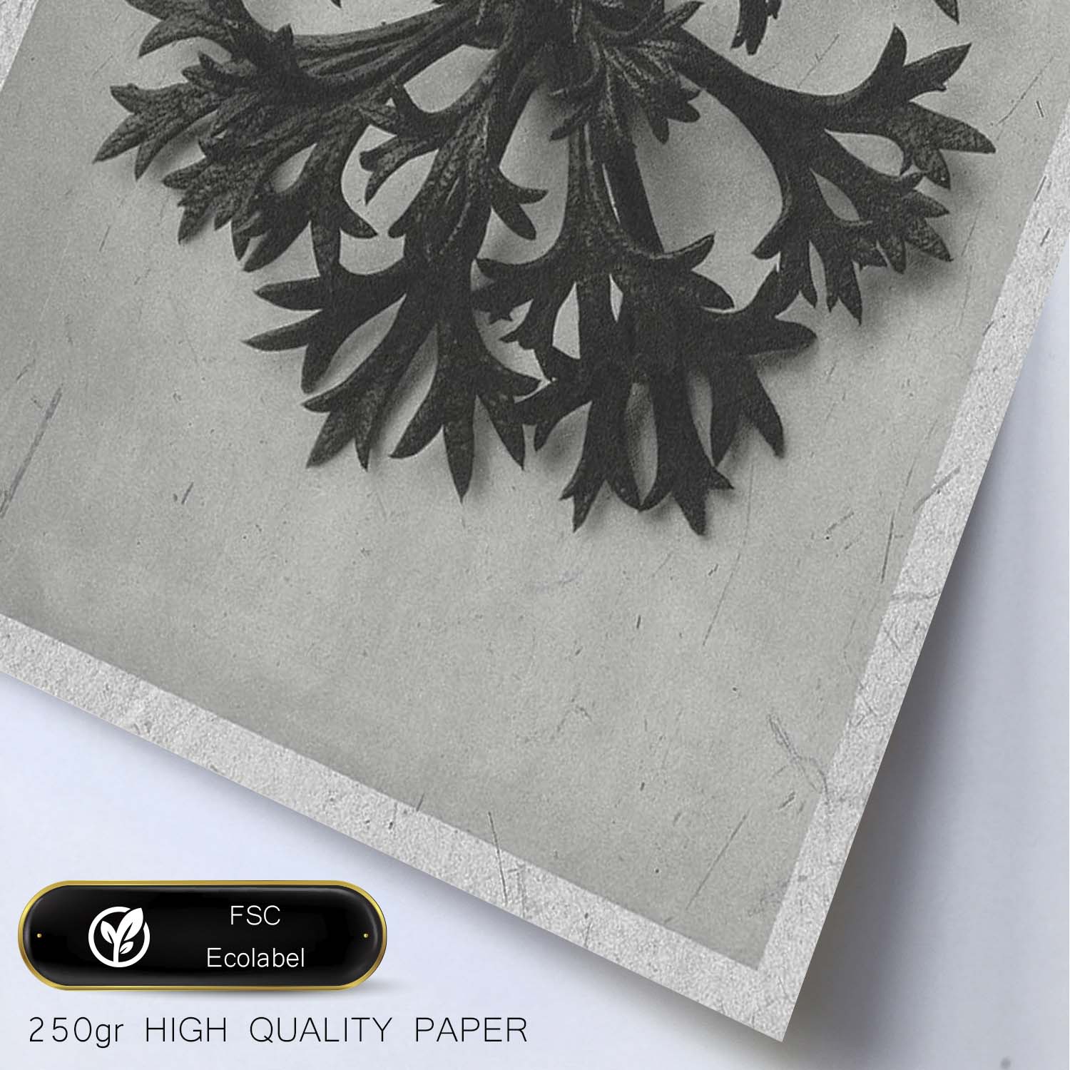 Lámina Planta blanco y negro 60. Pósters con ilustraciones de flores y plantas en tonos grises.-Artwork-Nacnic-Nacnic Estudio SL