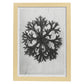 Lámina Planta blanco y negro 60. Pósters con ilustraciones de flores y plantas en tonos grises.-Artwork-Nacnic-A3-Marco Madera clara-Nacnic Estudio SL