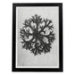 Lámina Planta blanco y negro 60. Pósters con ilustraciones de flores y plantas en tonos grises.-Artwork-Nacnic-A4-Marco Negro-Nacnic Estudio SL
