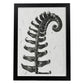Lámina Planta blanco y negro 61. Pósters con ilustraciones de flores y plantas en tonos grises.-Artwork-Nacnic-A3-Marco Negro-Nacnic Estudio SL