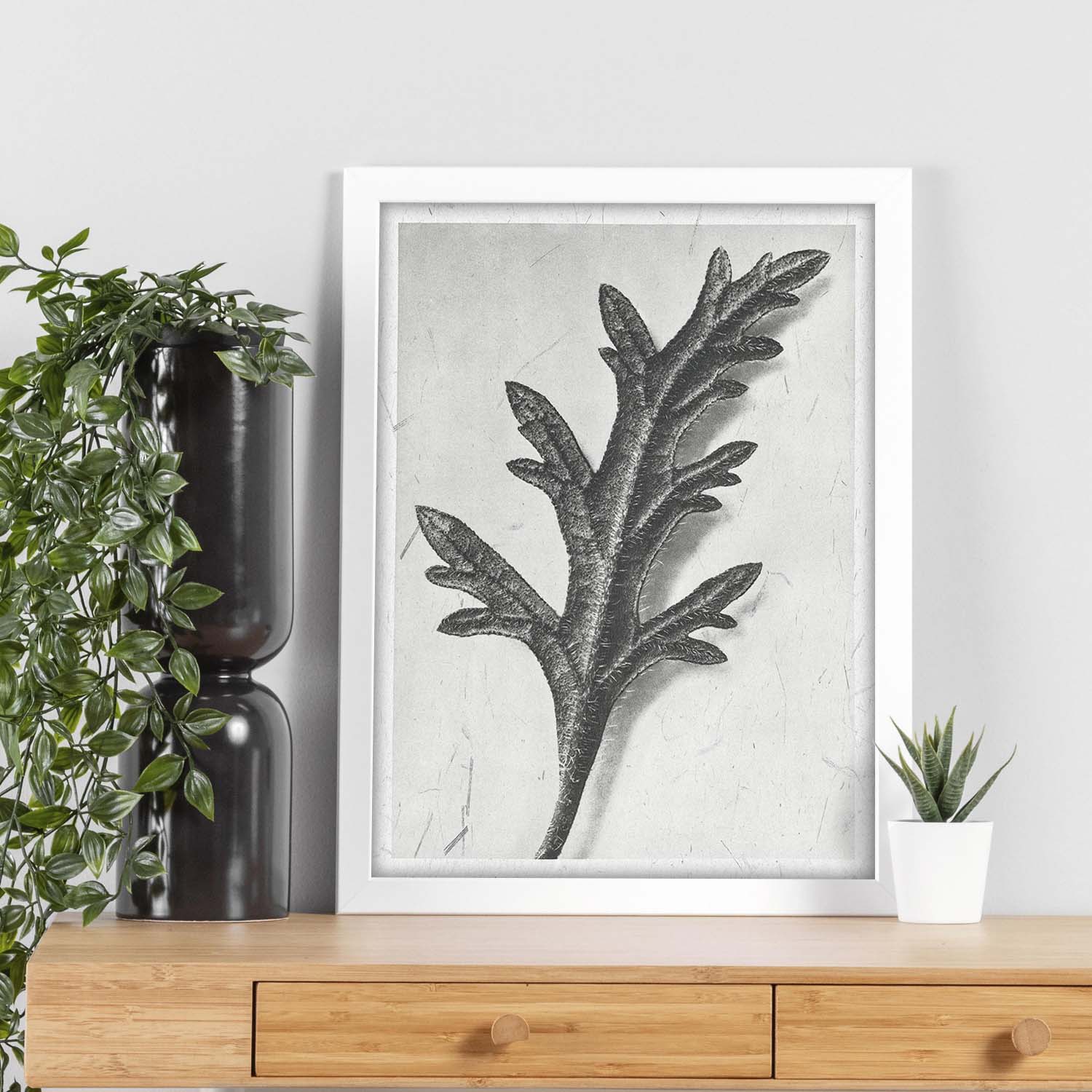 Lámina Planta blanco y negro 62. Pósters con ilustraciones de flores y plantas en tonos grises.-Artwork-Nacnic-Nacnic Estudio SL