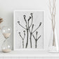 Lámina Planta blanco y negro 63. Pósters con ilustraciones de flores y plantas en tonos grises.-Artwork-Nacnic-Nacnic Estudio SL