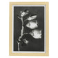 Lámina Planta blanco y negro 64. Pósters con ilustraciones de flores y plantas en tonos grises.-Artwork-Nacnic-A4-Marco Madera clara-Nacnic Estudio SL