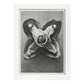 Lámina Planta blanco y negro 71. Pósters con ilustraciones de flores y plantas en tonos grises.-Artwork-Nacnic-A3-Marco Blanco-Nacnic Estudio SL