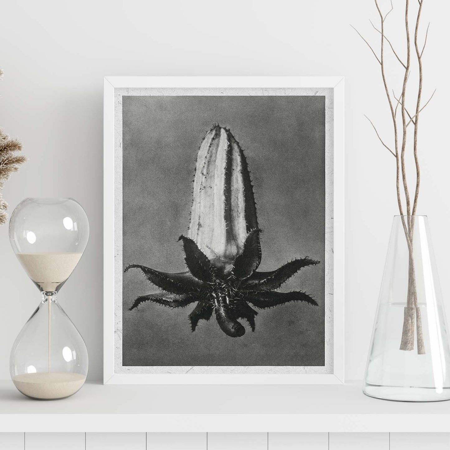 Lámina Planta blanco y negro 72. Pósters con ilustraciones de flores y plantas en tonos grises.-Artwork-Nacnic-Nacnic Estudio SL