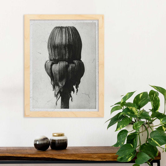 Lámina Planta blanco y negro 75. Pósters con ilustraciones de flores y plantas en tonos grises.-Artwork-Nacnic-Nacnic Estudio SL