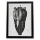 Lámina Planta blanco y negro 77. Pósters con ilustraciones de flores y plantas en tonos grises.-Artwork-Nacnic-A4-Marco Negro-Nacnic Estudio SL