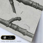 Lámina Planta blanco y negro 79. Pósters con ilustraciones de flores y plantas en tonos grises.-Artwork-Nacnic-Nacnic Estudio SL