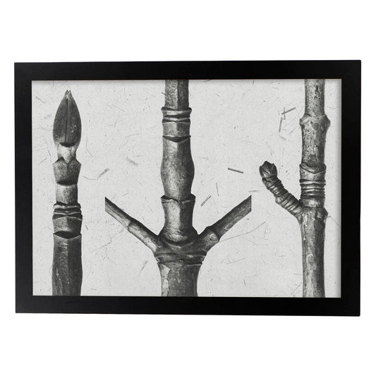 Lámina Planta blanco y negro 79. Pósters con ilustraciones de flores y plantas en tonos grises.-Artwork-Nacnic-A4-Marco Negro-Nacnic Estudio SL