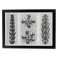 Lámina Planta blanco y negro 81. Pósters con ilustraciones de flores y plantas en tonos grises.-Artwork-Nacnic-A3-Marco Negro-Nacnic Estudio SL