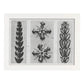 Lámina Planta blanco y negro 81. Pósters con ilustraciones de flores y plantas en tonos grises.-Artwork-Nacnic-A4-Marco Blanco-Nacnic Estudio SL