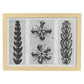 Lámina Planta blanco y negro 81. Pósters con ilustraciones de flores y plantas en tonos grises.-Artwork-Nacnic-A4-Marco Madera clara-Nacnic Estudio SL