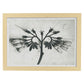 Lámina Planta blanco y negro 87. Pósters con ilustraciones de flores y plantas en tonos grises.-Artwork-Nacnic-A4-Marco Madera clara-Nacnic Estudio SL