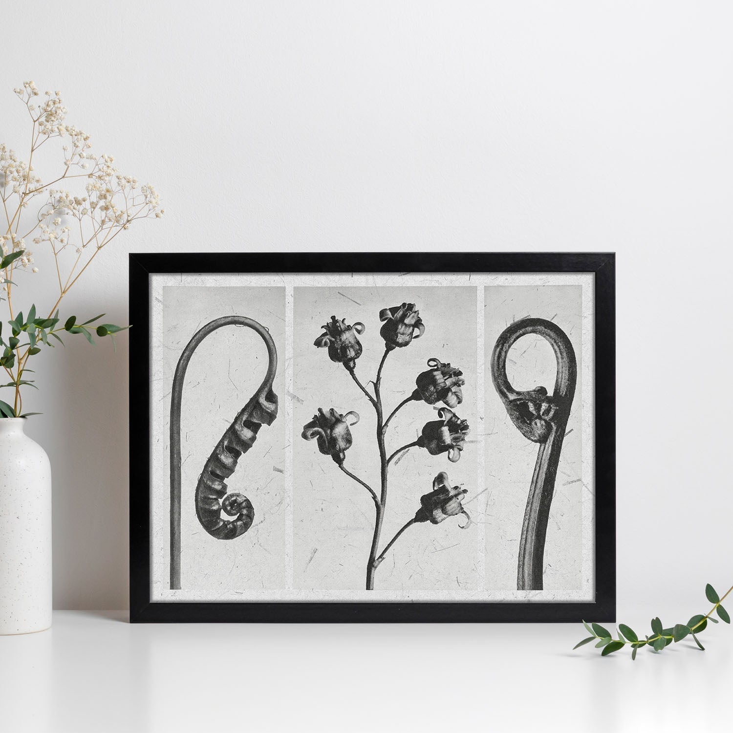 Lámina Planta blanco y negro 88. Pósters con ilustraciones de flores y plantas en tonos grises.-Artwork-Nacnic-Nacnic Estudio SL