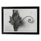 Lámina Planta blanco y negro 89. Pósters con ilustraciones de flores y plantas en tonos grises.-Artwork-Nacnic-A3-Marco Negro-Nacnic Estudio SL