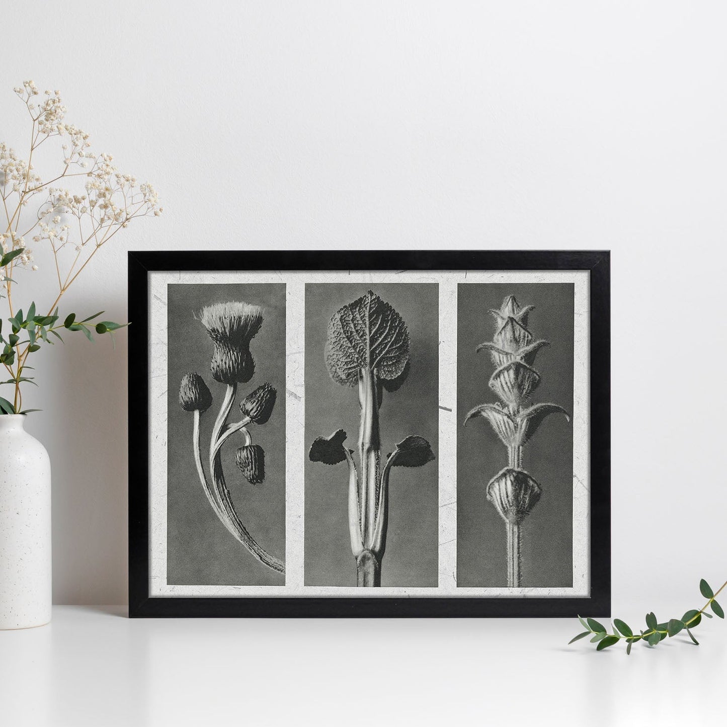 Lámina Planta blanco y negro 90. Pósters con ilustraciones de flores y plantas en tonos grises.-Artwork-Nacnic-Nacnic Estudio SL