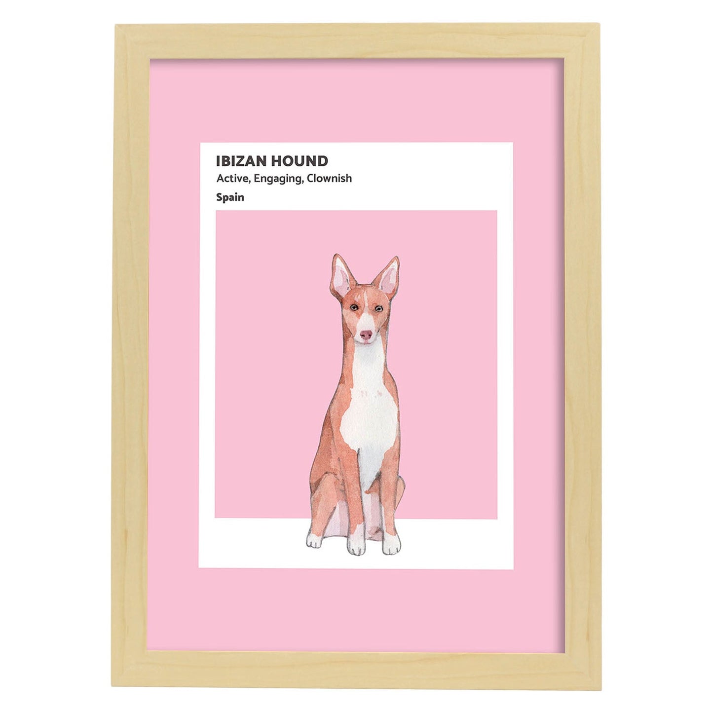 Lámina Podenco ibicenco. Pósters con ilustraciones de razas de perro en tonos cálidos y pastel.-Artwork-Nacnic-A3-Marco Madera clara-Nacnic Estudio SL