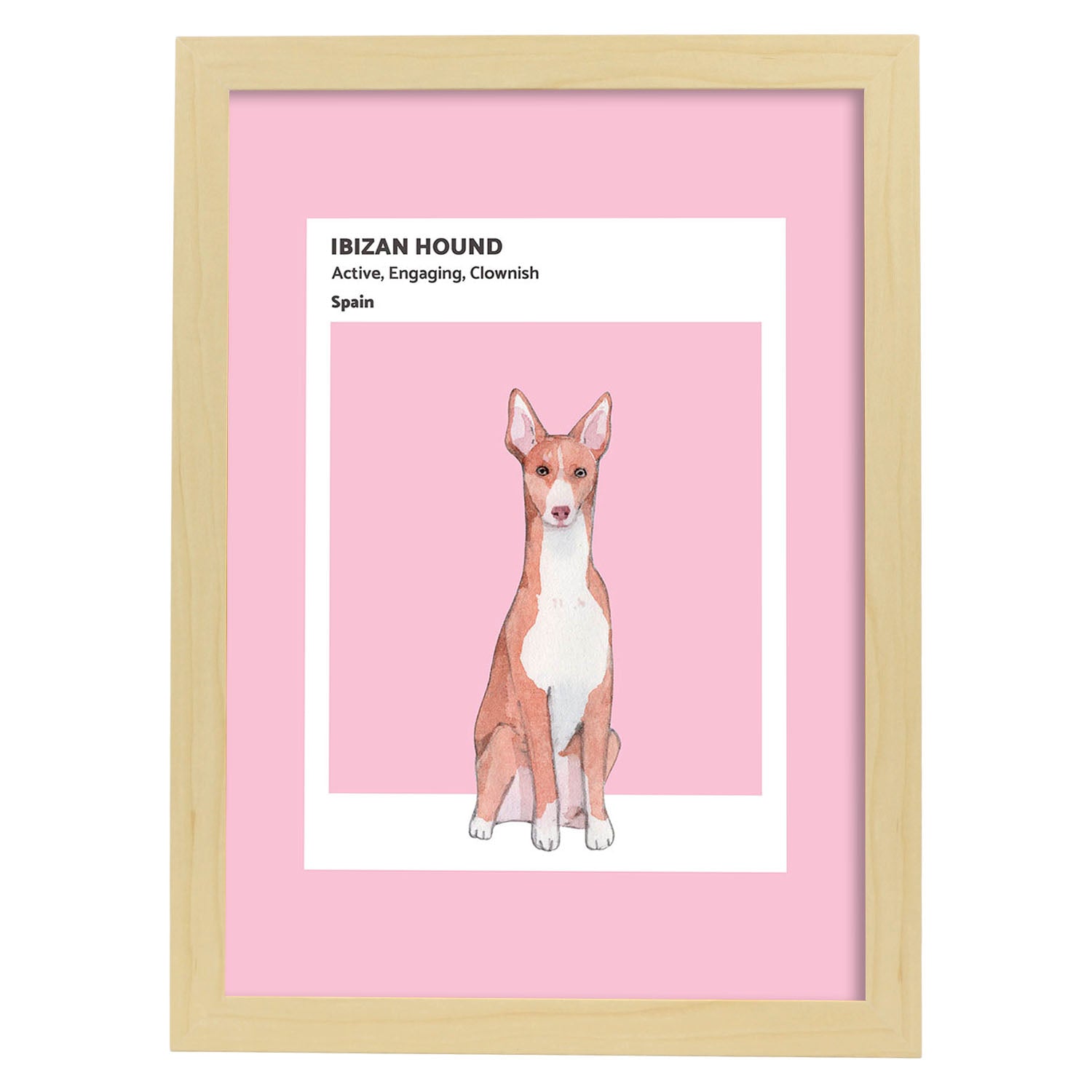 Lámina Podenco ibicenco. Pósters con ilustraciones de razas de perro en tonos cálidos y pastel.-Artwork-Nacnic-A4-Marco Madera clara-Nacnic Estudio SL