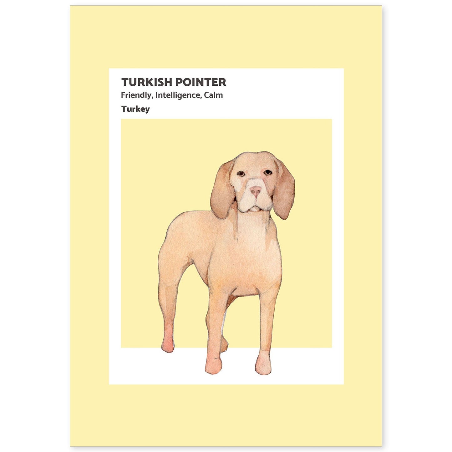 Lámina Pointer turco. Pósters con ilustraciones de razas de perro en tonos cálidos y pastel.-Artwork-Nacnic-A4-Sin marco-Nacnic Estudio SL