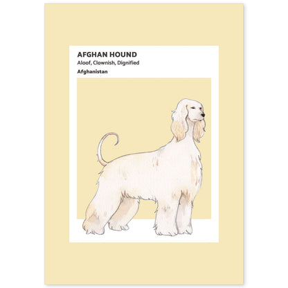 Lámina Sabueso afgano. Pósters con ilustraciones de razas de perro en tonos cálidos y pastel.-Artwork-Nacnic-A4-Sin marco-Nacnic Estudio SL
