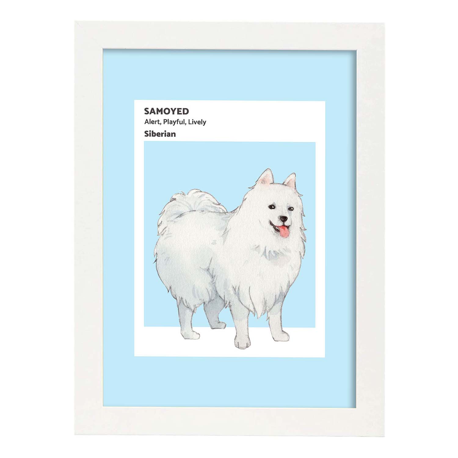 Lámina Samoyedo. Pósters con ilustraciones de razas de perro en tonos cálidos y pastel.-Artwork-Nacnic-A3-Marco Blanco-Nacnic Estudio SL