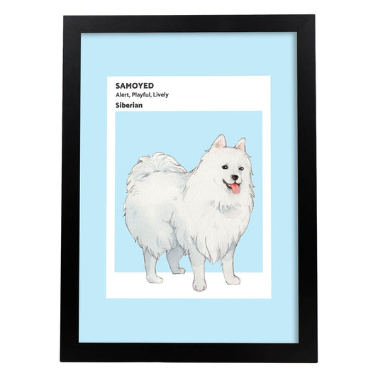 Lámina Samoyedo. Pósters con ilustraciones de razas de perro en tonos cálidos y pastel.-Artwork-Nacnic-A4-Marco Negro-Nacnic Estudio SL