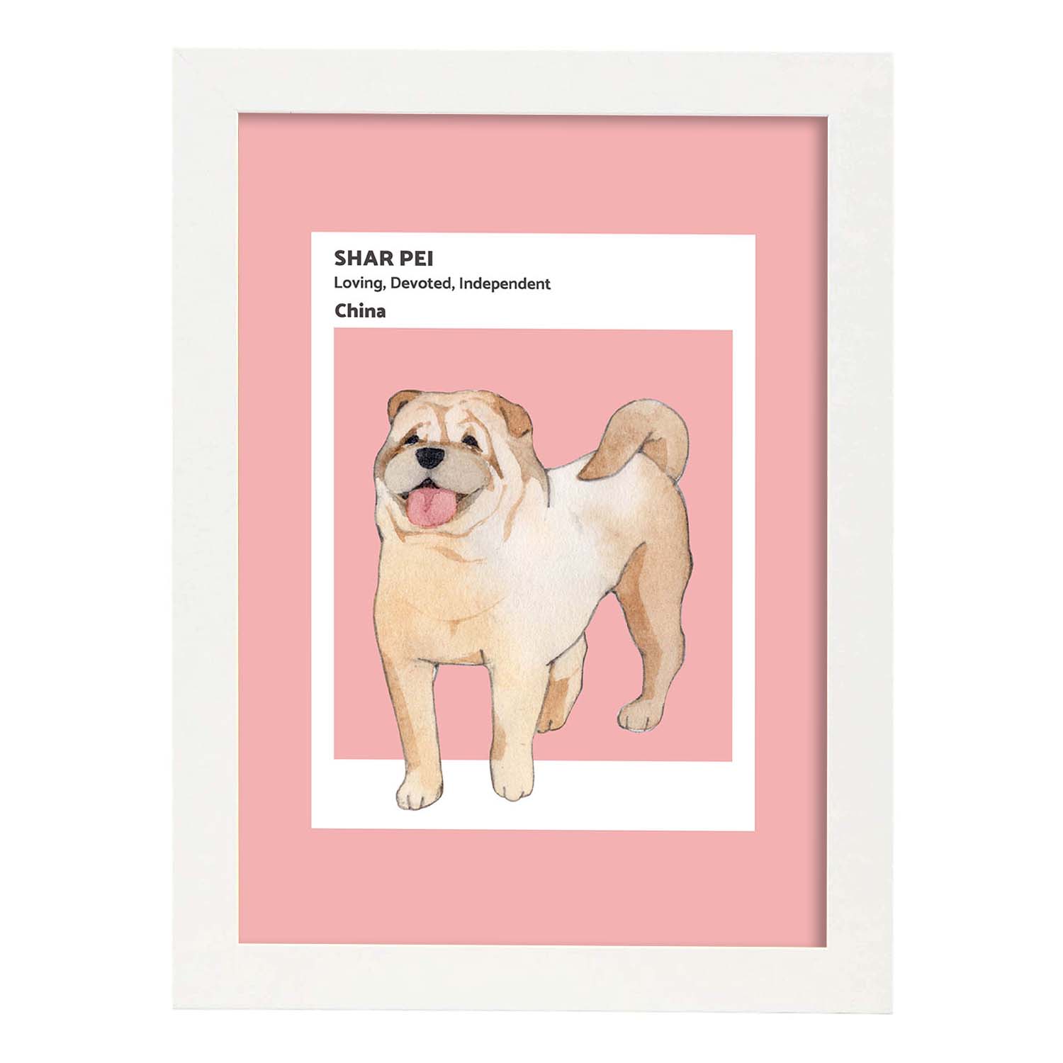Lámina Shar-Pei. Pósters con ilustraciones de razas de perro en tonos cálidos y pastel.-Artwork-Nacnic-A3-Marco Blanco-Nacnic Estudio SL