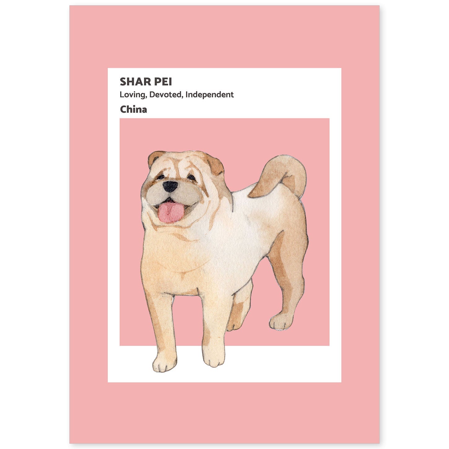 Lámina Shar-Pei. Pósters con ilustraciones de razas de perro en tonos cálidos y pastel.-Artwork-Nacnic-A4-Sin marco-Nacnic Estudio SL