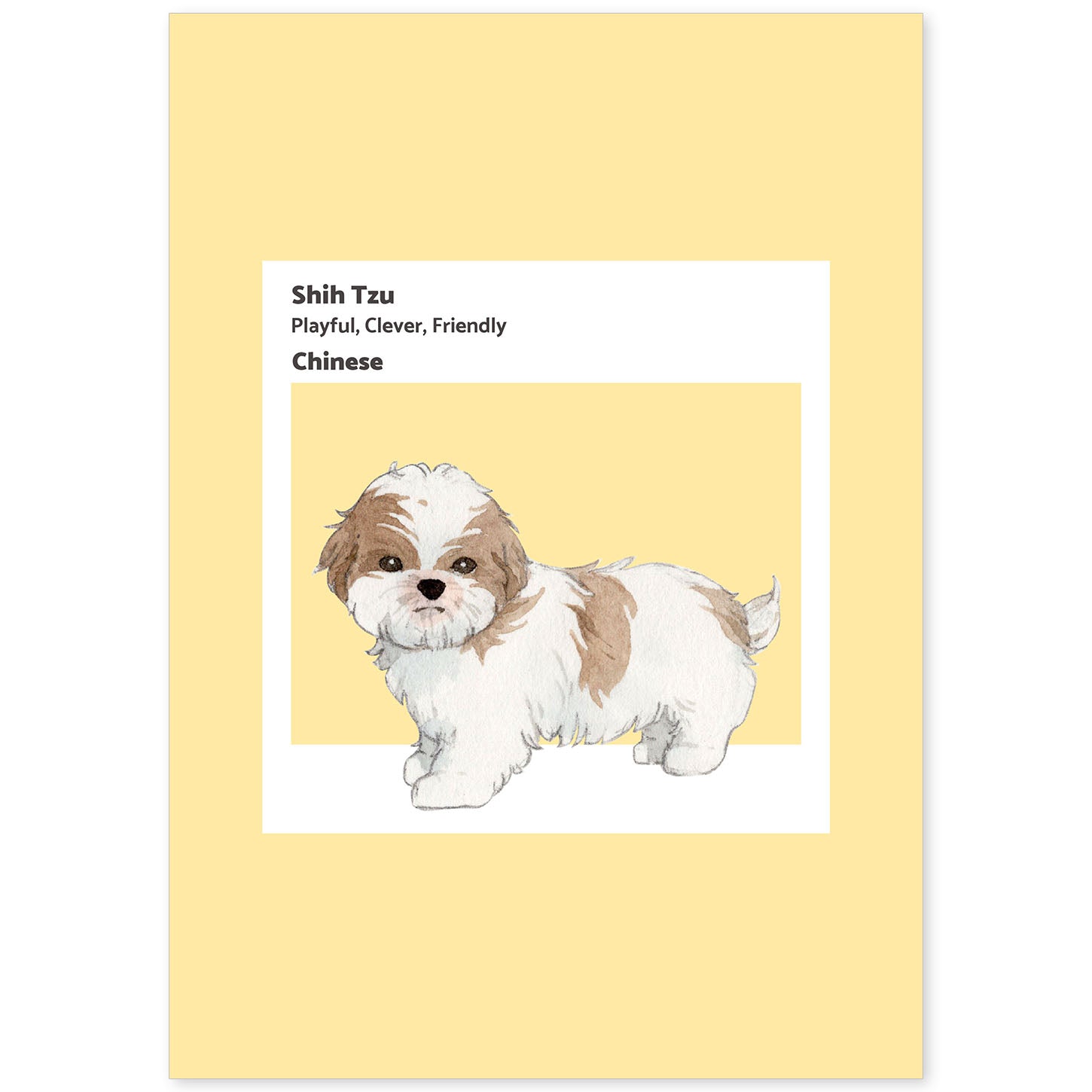 Lámina Shih-Tzu. Pósters con ilustraciones de razas de perro en tonos cálidos y pastel.-Artwork-Nacnic-A4-Sin marco-Nacnic Estudio SL
