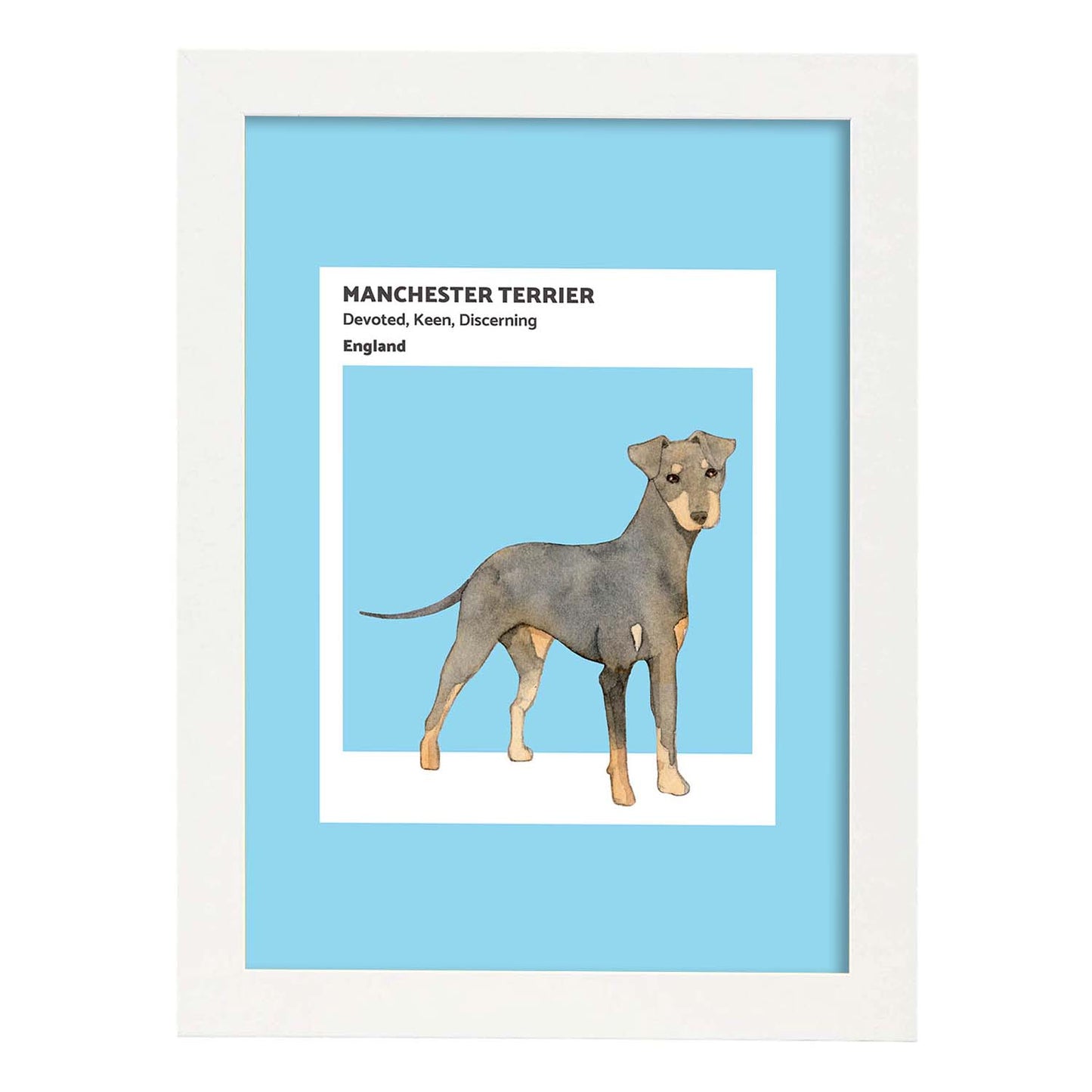 Lámina Terrier de Manchester. Pósters con ilustraciones de razas de perro en tonos cálidos y pastel.-Artwork-Nacnic-A3-Marco Blanco-Nacnic Estudio SL