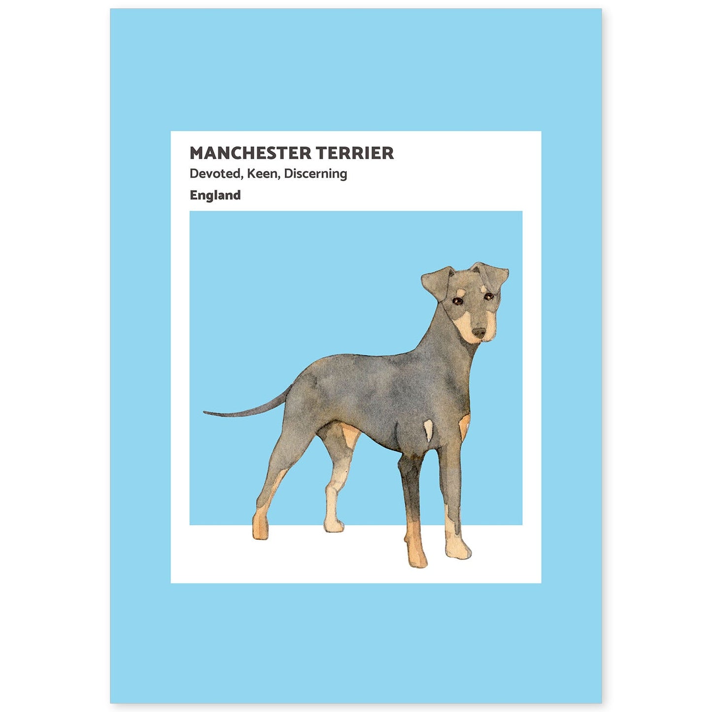 Lámina Terrier de Manchester. Pósters con ilustraciones de razas de perro en tonos cálidos y pastel.-Artwork-Nacnic-A4-Sin marco-Nacnic Estudio SL