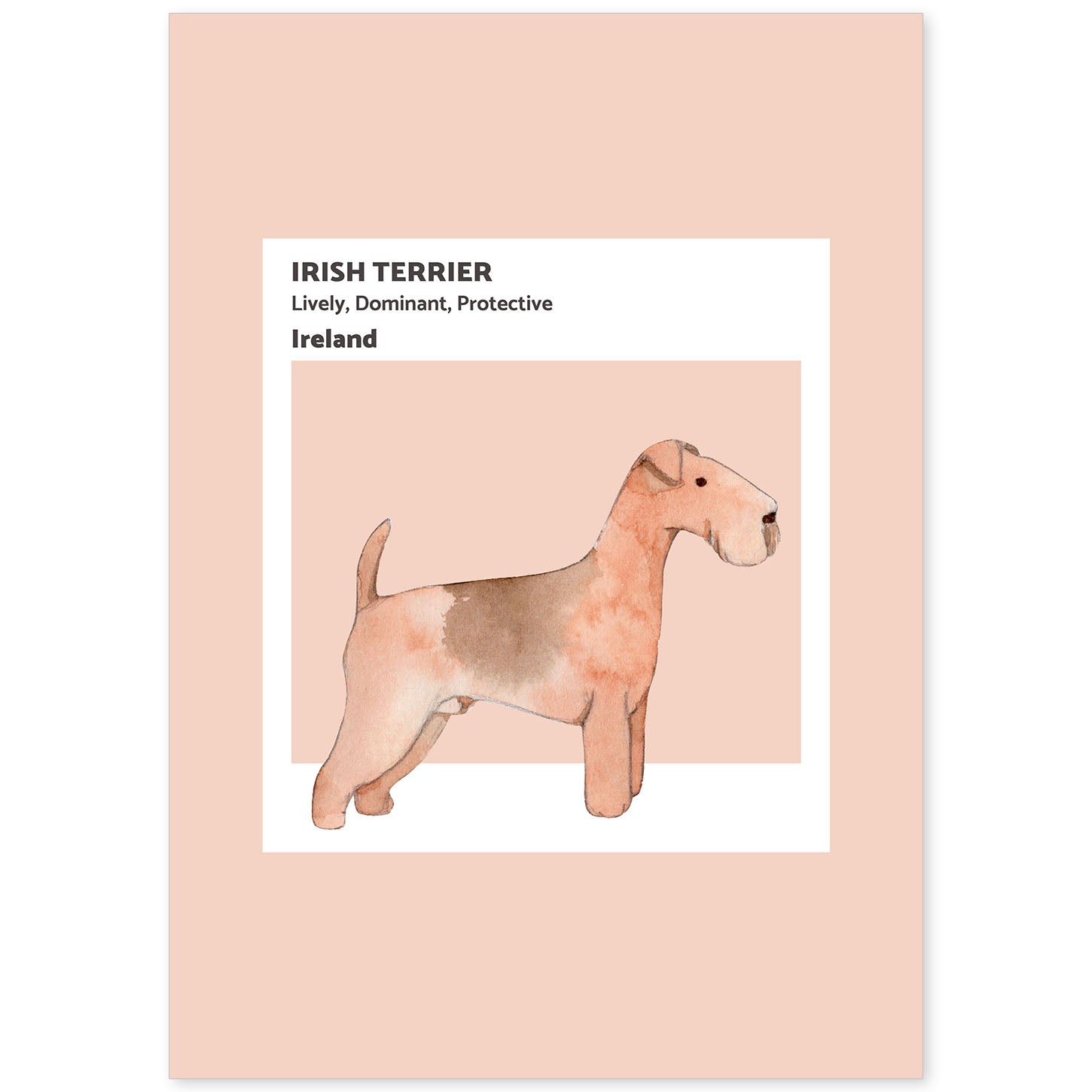 Lámina Terrier irlandes. Pósters con ilustraciones de razas de perro en tonos cálidos y pastel.-Artwork-Nacnic-A4-Sin marco-Nacnic Estudio SL
