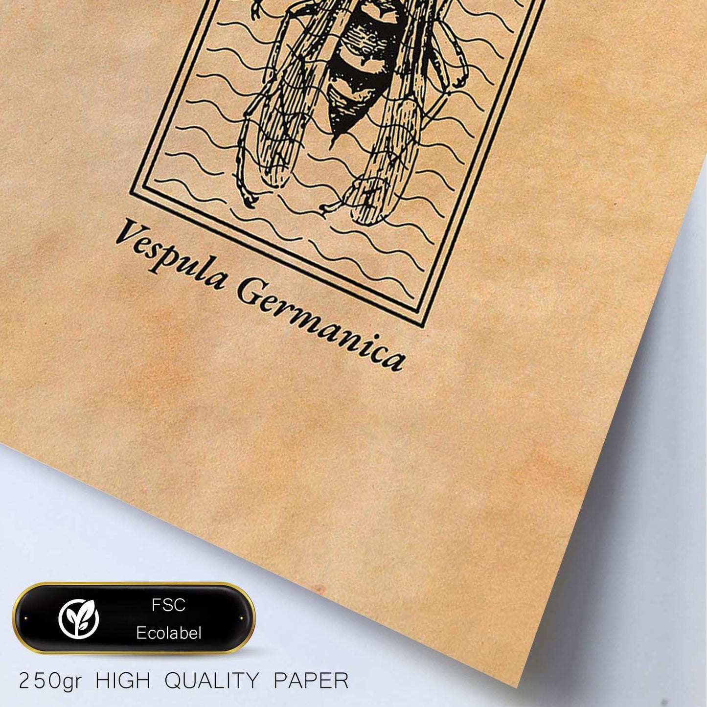 Lámina Vintage Avispa. Pósters de insectos en estilo grabado y tonos sepia.-Artwork-Nacnic-Nacnic Estudio SL