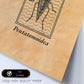 Lámina Vintage Bicho escudo. Pósters de insectos en estilo grabado y tonos sepia.-Artwork-Nacnic-Nacnic Estudio SL