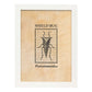 Lámina Vintage Bicho escudo. Pósters de insectos en estilo grabado y tonos sepia.-Artwork-Nacnic-A3-Marco Blanco-Nacnic Estudio SL