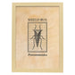 Lámina Vintage Bicho escudo. Pósters de insectos en estilo grabado y tonos sepia.-Artwork-Nacnic-A4-Marco Madera clara-Nacnic Estudio SL