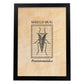Lámina Vintage Bicho escudo. Pósters de insectos en estilo grabado y tonos sepia.-Artwork-Nacnic-A4-Marco Negro-Nacnic Estudio SL