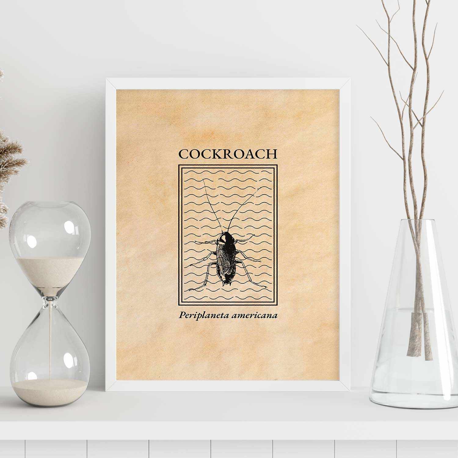 Lámina Vintage Cucaracha. Pósters de insectos en estilo grabado y tonos sepia.-Artwork-Nacnic-Nacnic Estudio SL