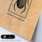 Lámina Vintage Escarabajo acuatico. Pósters de insectos en estilo grabado y tonos sepia.-Artwork-Nacnic-Nacnic Estudio SL