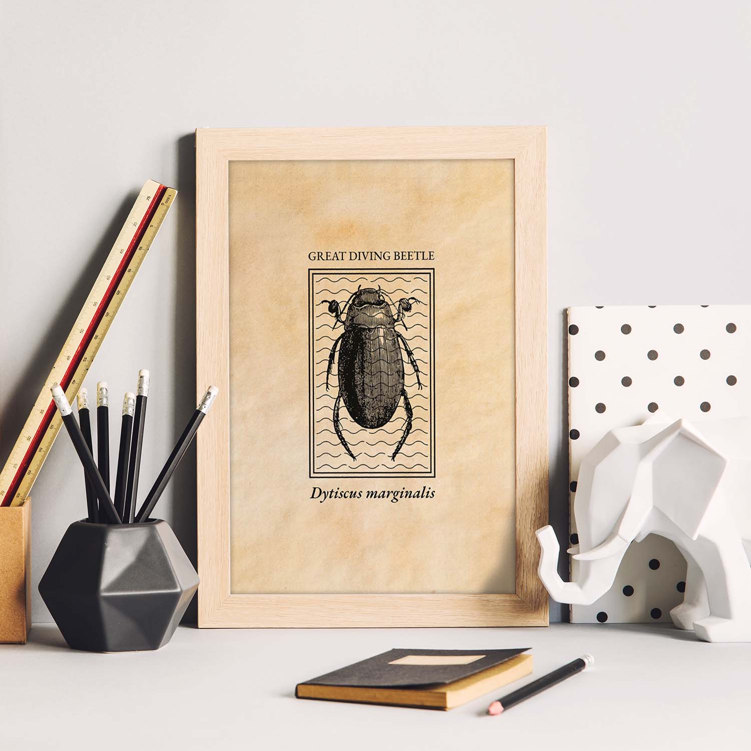 Lámina Vintage Escarabajo acuatico. Pósters de insectos en estilo grabado y tonos sepia.-Artwork-Nacnic-Nacnic Estudio SL