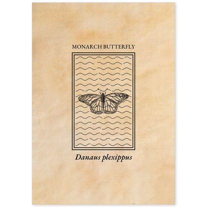 Lámina Vintage Mariposa reina. Pósters de insectos en estilo grabado y tonos sepia.-Artwork-Nacnic-A4-Sin marco-Nacnic Estudio SL